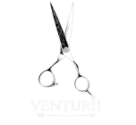 Venturii 